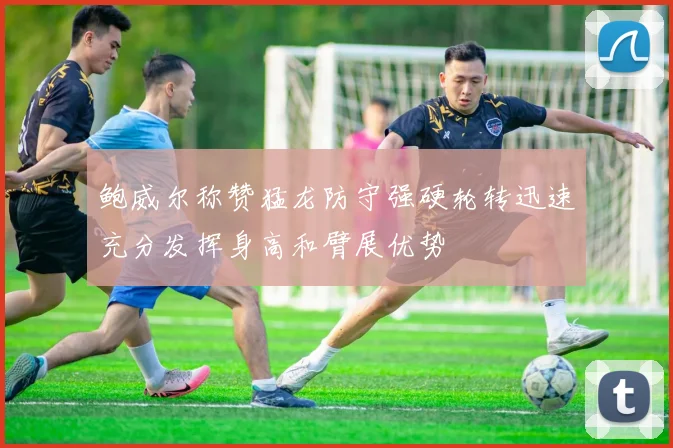 鲍威尔称赞猛龙防守强硬轮转迅速充分发挥身高和臂展优势