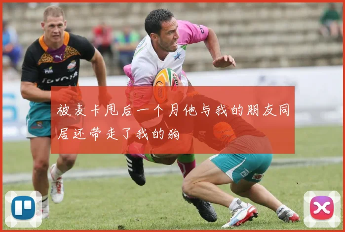 被麦卡甩后一个月他与我的朋友同居还带走了我的狗