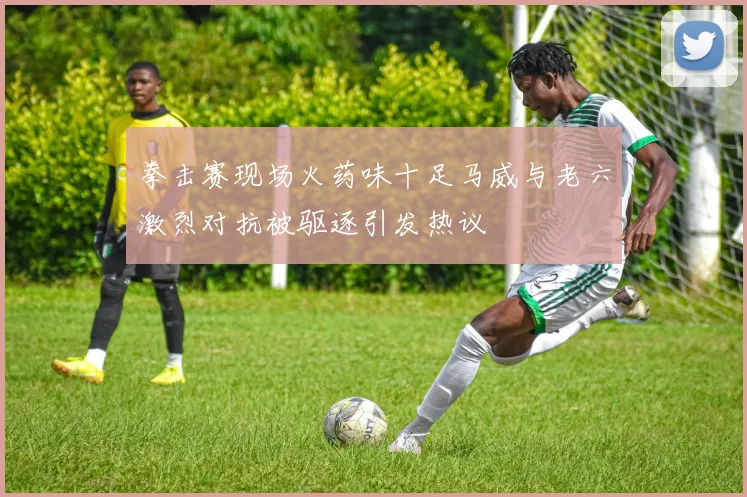 拳击赛现场火药味十足马威与老六激烈对抗被驱逐引发热议