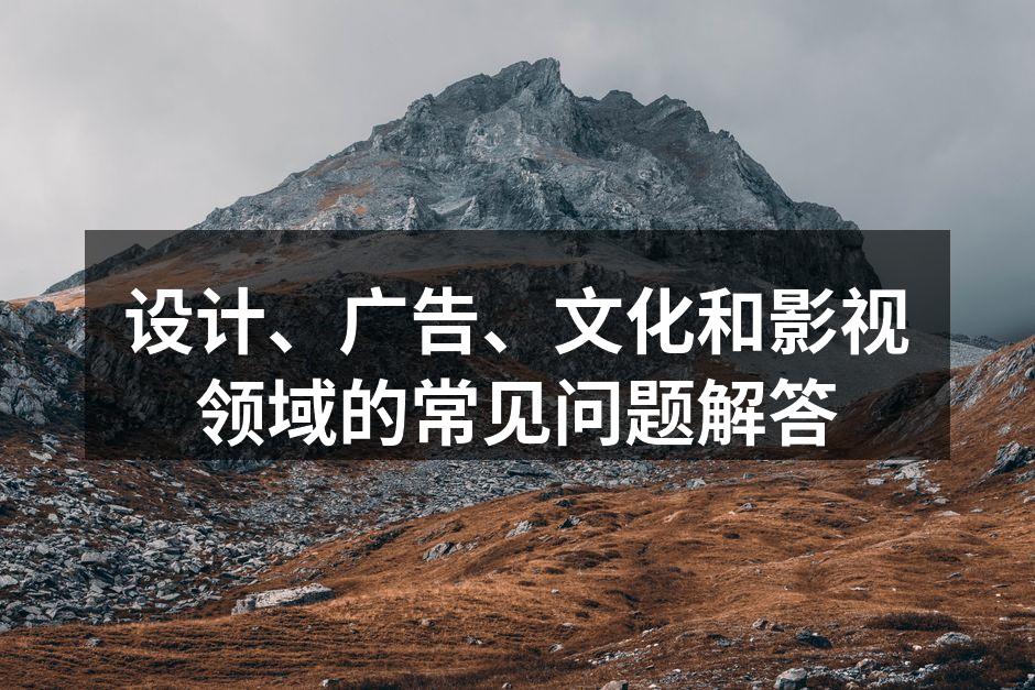 设计师与客户讨论设计方案